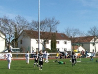 Spiel-15