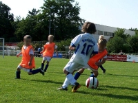 Lewa-Cup
