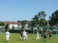 Spiel 36