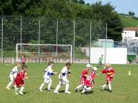 Spiel 44
